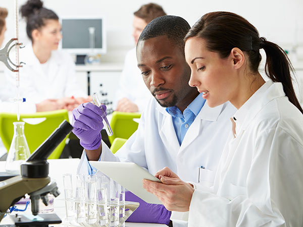 化学家们在实验室里一边看着药片一边拿着试管工作。